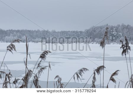 Bavarian Winter Landscape Next Next To Schwandorf, Charlottenhofer Weihergebiet