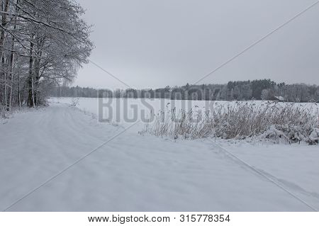 Bavarian Winter Landscape Next Next To Schwandorf, Charlottenhofer Weihergebiet
