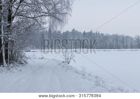 Bavarian Winter Landscape Next Next To Schwandorf, Charlottenhofer Weihergebiet