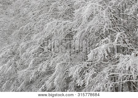 Bavarian Winter Landscape Next Next To Schwandorf, Charlottenhofer Weihergebiet