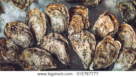 Oysters And Other Seafood On Ice On The Shop Counter.