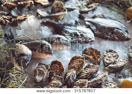 Oysters And Other Seafood On Ice On The Shop Counter.