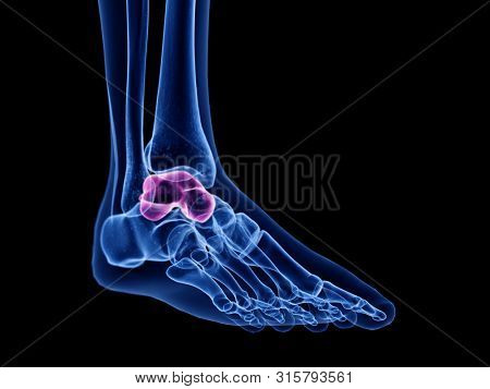3d rendered medically accurate illustration of the talus bone