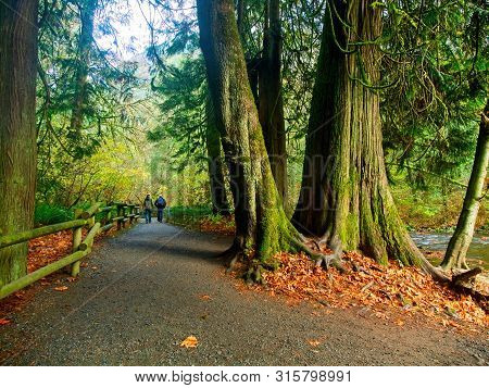 Goldstream Park