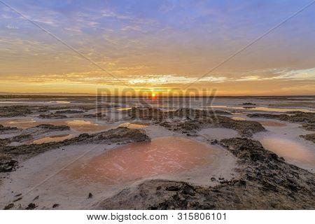 Dried Salt Marsh Colors In San Francisco South Bay. Alviso Marina County Park, Santa Clara County, C