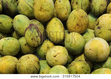 Pile Of Green Mango. Beautiful Green Mango Fruit