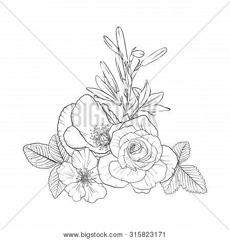 Vector Drawing Flowers, Decorative Rosette, Stylized Designtemplate, Isolated Floral Element, Hand D