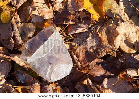 A Carelessly Throw Away Plastic In A Forest