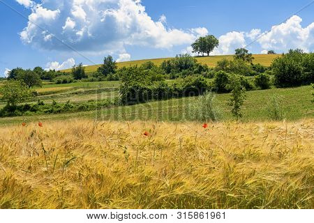 Passo Del Penice, Pavia, Lombardy, Italy: Mountaain Landscape At Late Spring (june)