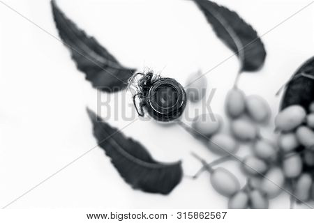 Fresh Green Neem Fruit Of Indian Lilac Fruit In A Clay Bowl Isolated On White Along With Its Concent