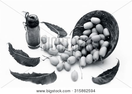 Fresh Green Neem Fruit Of Indian Lilac Fruit In A Clay Bowl Isolated On White Along With Its Concent