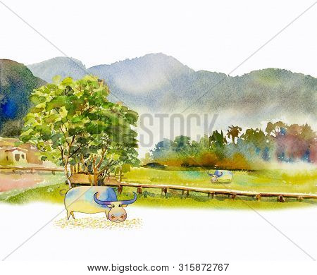Paintings Watercolor Landscape Of Buffalo Cornfield And Meadow Mountain Countryside. Hand Painted Il