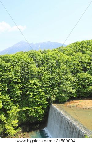 Świeża zieleń i Mt.iwate