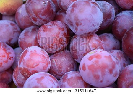 Ripe Plums Background, Texture. Ripe Juicy Plum Close-up. Red Plum In The Garden. Gardening Concept.