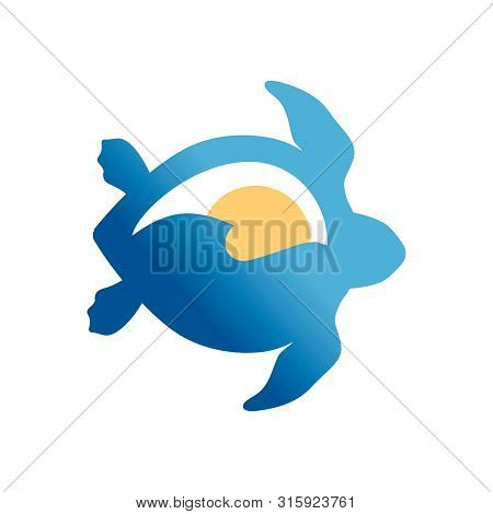 Sea Wave And Sunset Inside Turtle Shell