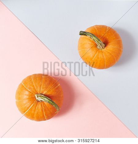Pumpkin on Dual Color Pastel Background. Autumn Concep Layout. Top View. Copy Space