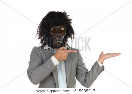 Businessman with gorilla head gesturing isolated on a white background