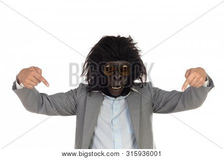 Businessman with gorilla head indicating isolated on a white background
