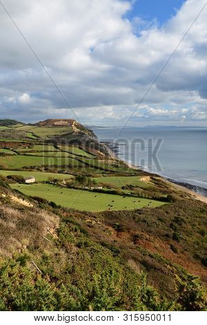 Scenic View Of Golden Cap Mountain In Dorset