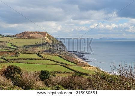 Scenic View Of Golden Cap Mountain In Dorset