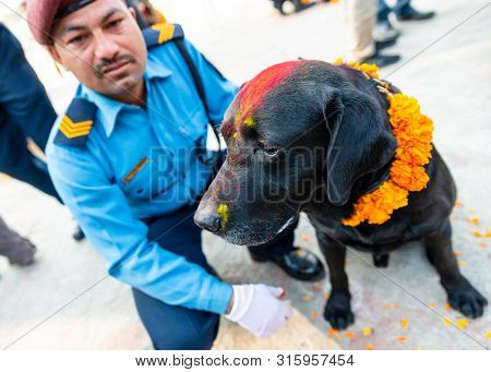 KATHMANDU, NEPAL - NOVEMBER 6, 2018: Nepal police celebrates Kukur Tihar (dog festival) at Central Police Dog Training School.