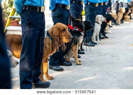 KATHMANDU, NEPAL - NOVEMBER 6, 2018: Nepal police celebrates Kukur Tihar (dog festival) at Central Police Dog Training School.
