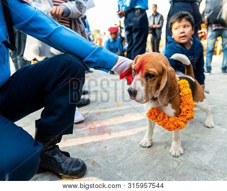 KATHMANDU, NEPAL - NOVEMBER 6, 2018: Nepal police celebrates Kukur Tihar (dog festival) at Central Police Dog Training School.
