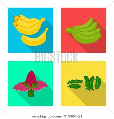 Vector Illustration Of Natural And Vegetarian Symbol. Set Of Natural And Eating Stock Symbol For Web