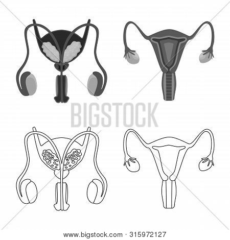 Isolated Object Of Biology And Scientific Icon. Collection Of Biology And Laboratory Vector Icon For