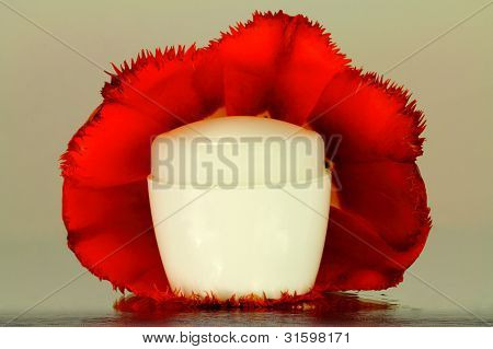 ein Glas Creme in einer ausgewachsenen Tulpe