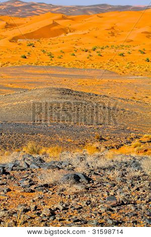 Deserto del Marocco. Immagine HDR.