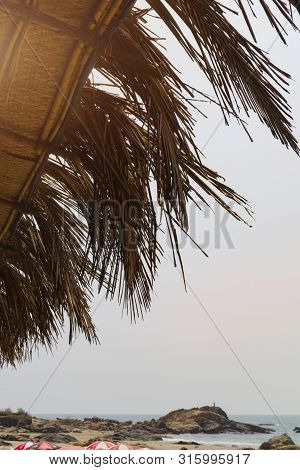 Bottom View Roof From Leaves Of Coconut Palm Tree On The Seashore Travel Summer Concept.