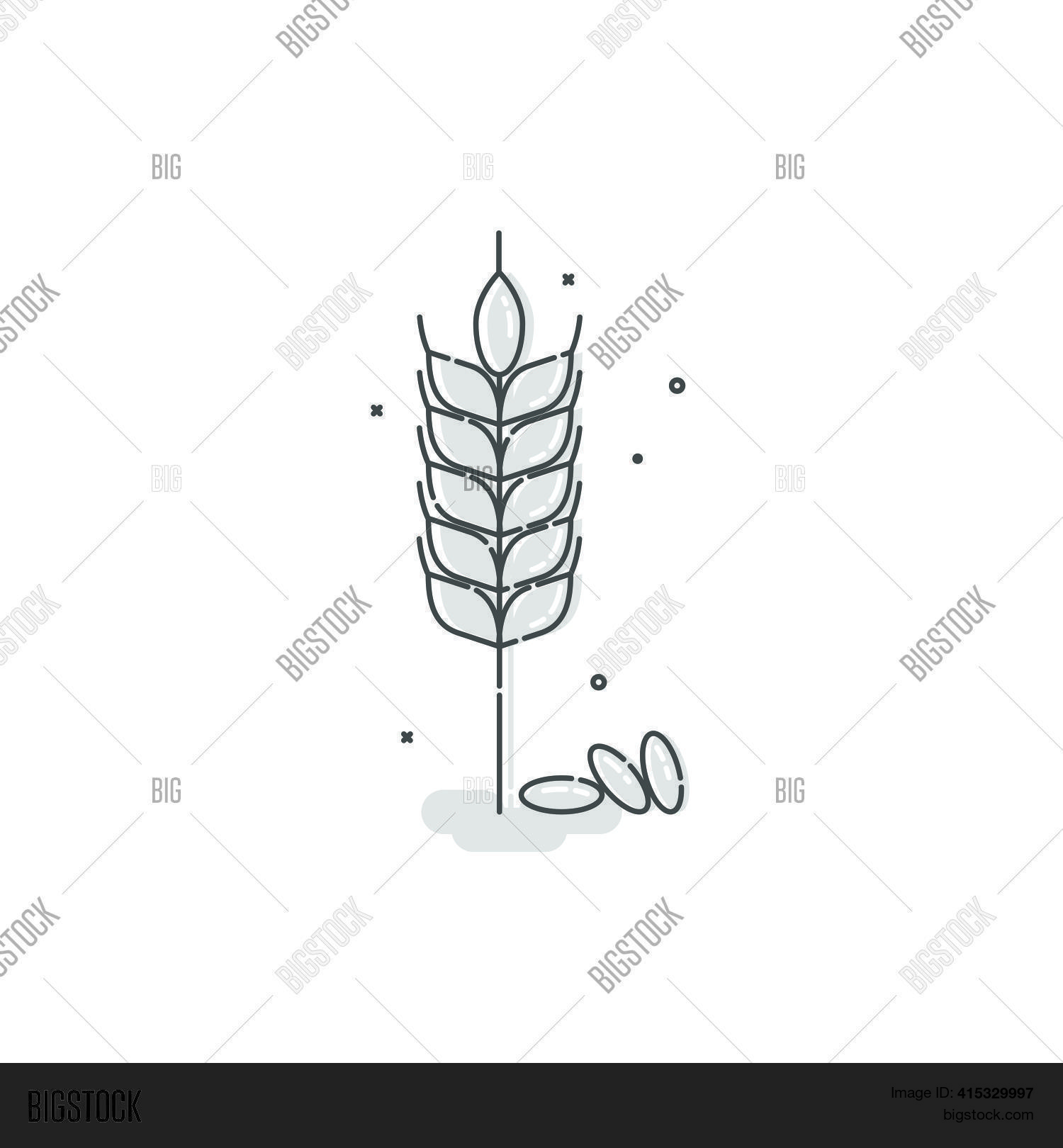 Farm Wheat Ears Icon Vector & Photo (Free Trial) | Bigstock