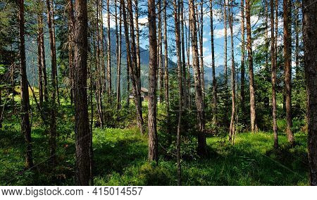 Beautiful Alpine Landscape With Green Meadows, Alpine Cottages And Mountain Peaks, Lechtal, Lech, Au
