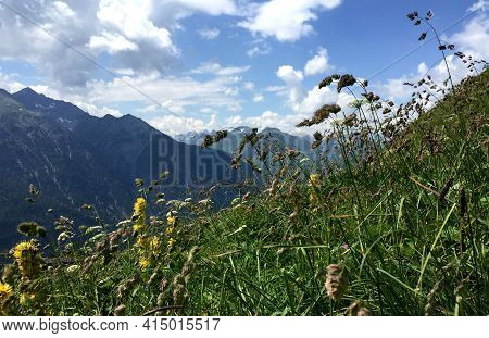 Beautiful Alpine Landscape With Green Meadows, Alpine Cottages And Mountain Peaks, Lechtal, Lech, Au