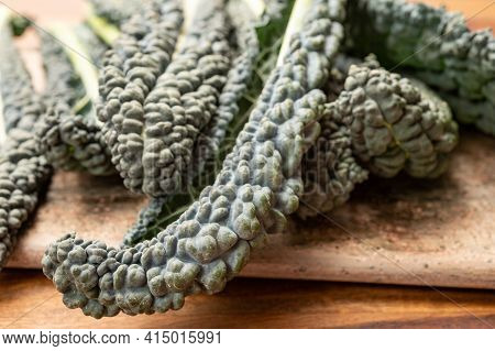 Cooking With Black Flat Leaves Of Cavolo Nero Tuscan Cabbage