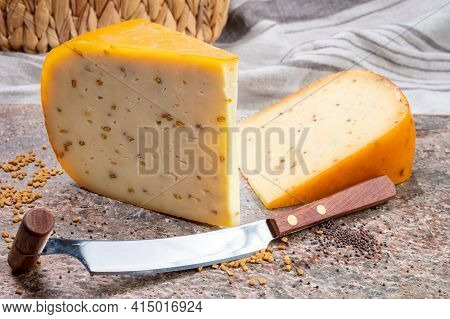 Cheese Collection, Pieces Of Hard Yellow Dutch Gouda Cheese With Dried Caraway, Mustard, Cumin, Fenu
