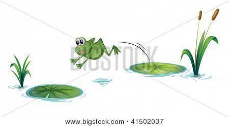 Illustration of a jumping frog on a white background
