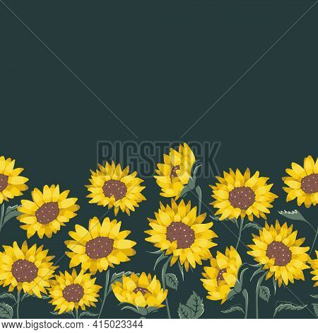 Vector Natural Yellow Sunflowers On Dark Green Border. Perfect For Border, Scrapbooking And Web Desi