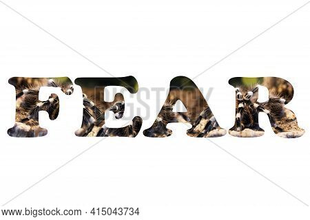 Word Fear Made From Spiders Clouds Isolated On White Background