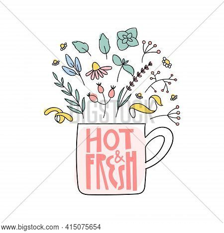 Hot And Fresh Herbal Tea Doodle Print. Cup With Lettering And Herbs For Natural Organic Drink.
