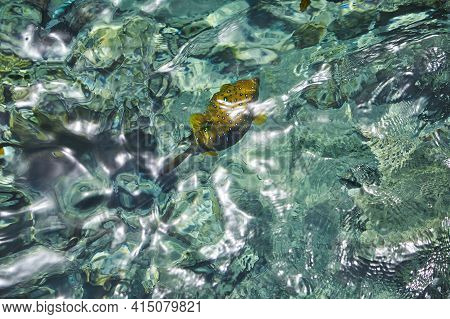 Crystal Turquoise Water Of The Red Sea. Background Of The Red Sea Water Surface. Top Down View Of Th