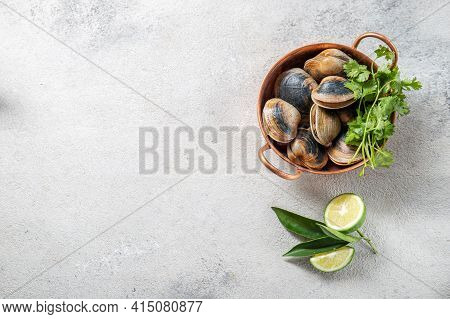Raw Uncooked Clams Vongole Shells Shellfish With Ingredients For Cooking Coriandr, Beer And Lime In 