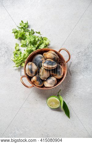 Raw Uncooked Clams Vongole Shells Shellfish With Ingredients For Cooking Coriandr, Beer And Lime In 
