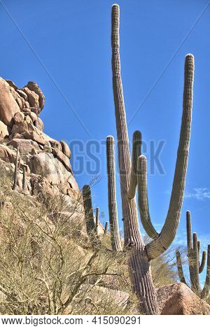 Arizona Desert Landscape