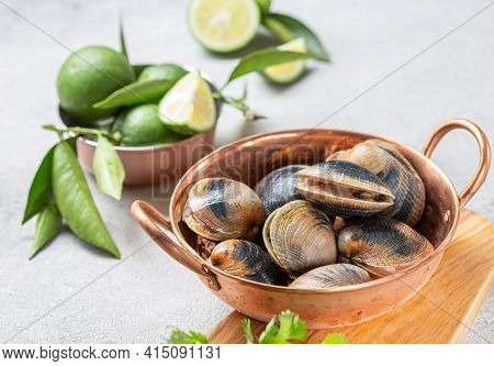 Raw Uncooked Clams Vongole Shells Shellfish With Ingredients For Cooking Coriandr, Beer And Lime In 