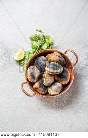 Raw Uncooked Clams Vongole Shells Shellfish With Ingredients For Cooking Coriandr, Beer And Lime In 