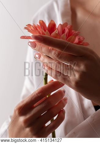 The Concept Of Femininity, Women's Health, Gynecology