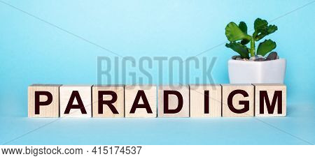 The Word Paradigm Is Written On Wooden Cubes Near A Flower In A Pot On A Light Blue Background