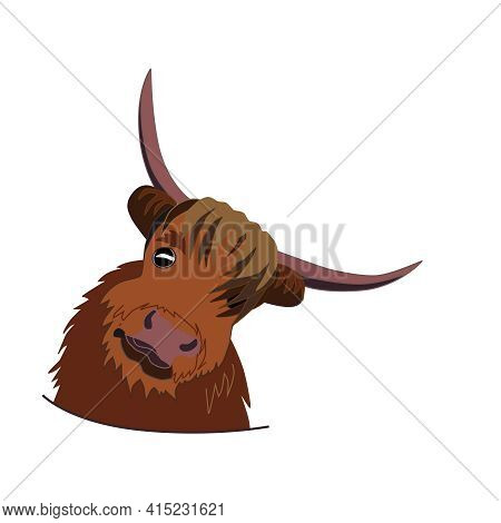 Shaggy Head Of Cute Funny Bull, Symbol Of 2021, Vector Illustration